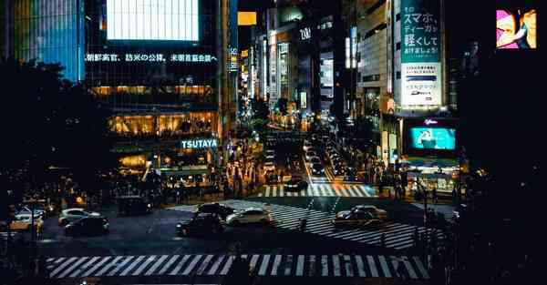 星级酒店大数据