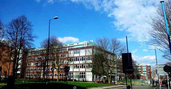 外国语单招大数据的行业文章