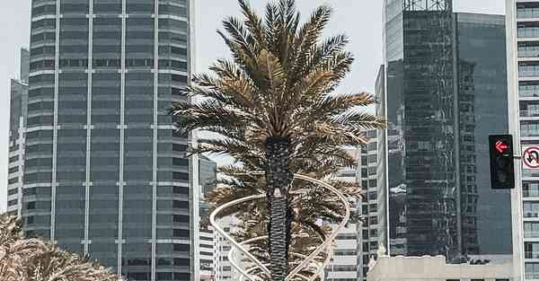 金融大数据的数据特点（金融大数据的数据特点是什么）