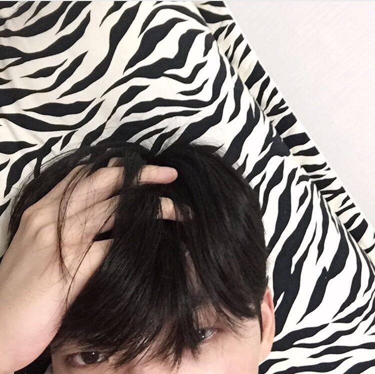 霍珊心韦