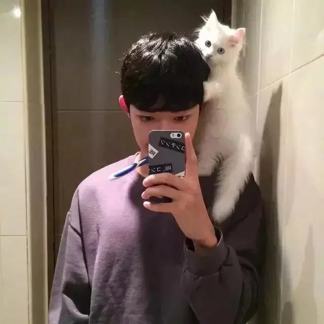 祁宁纪力