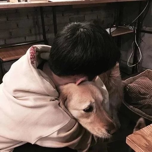 从英琪阳
