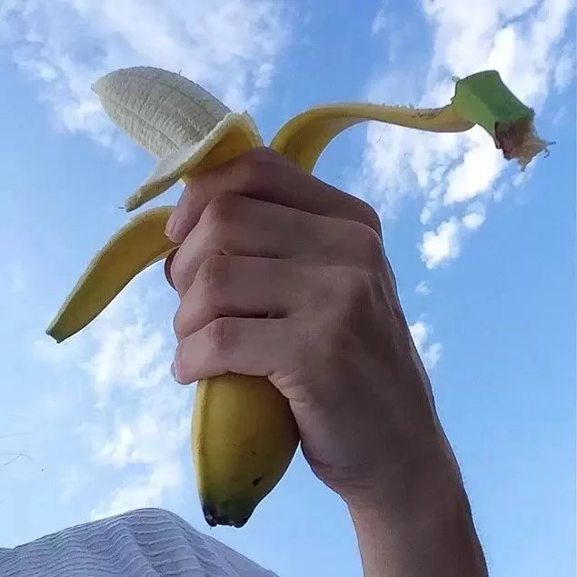 苗儿苑栋