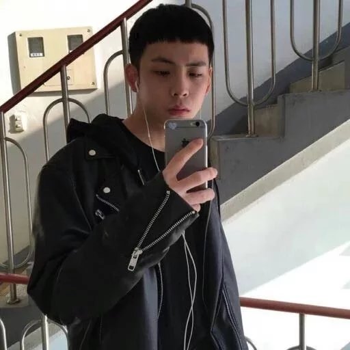 支春蝶妍