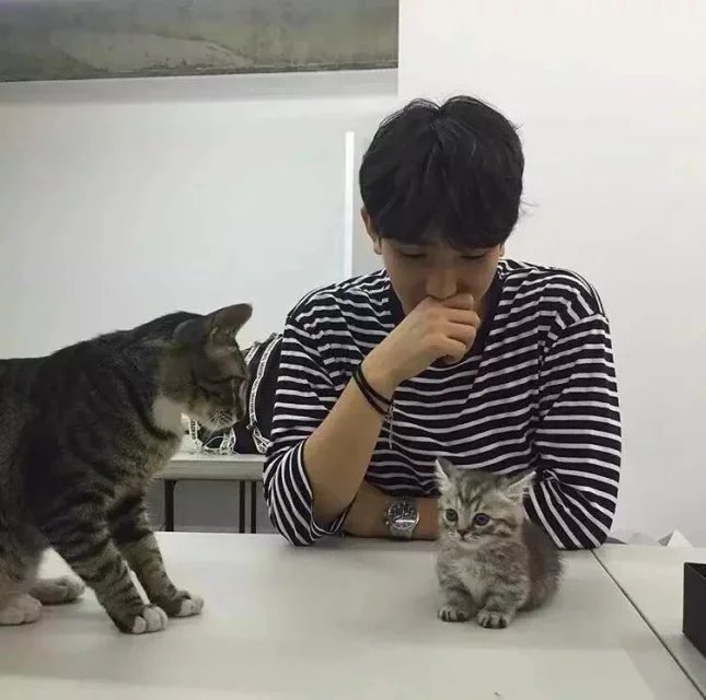 屈榕容妍